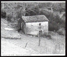 1984 -- LE COLLET DE DIE . BUSTNUT DRYER. 3T632