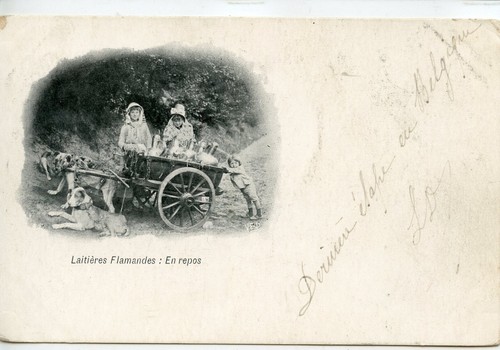 Carte postale belgique - belgique, /