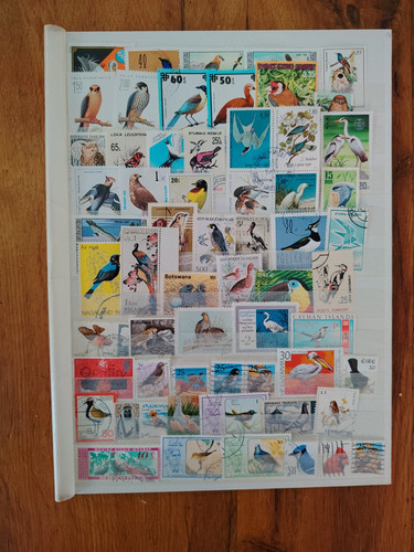 Timbres oiseaux - 55,