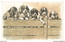 ASHP8-0498-DOG - DRAWING OF FIVE DOGS ON A WOODEN FENCE