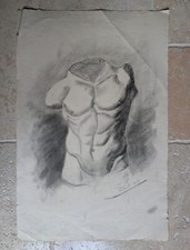Dessin Académique Torse. Fin