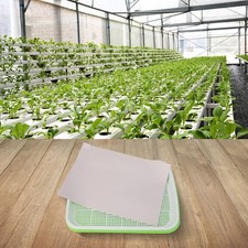 Hydroponique Plateau Germoir