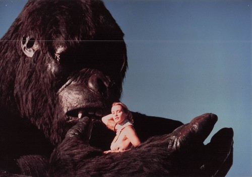 King kong jessica - king,
