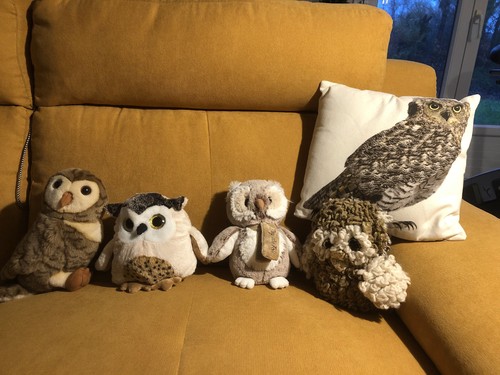 Lot peluches chouette hibou - lot, 4