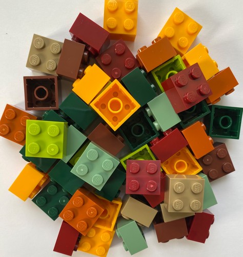 Lego part 3003 2x2 - part,