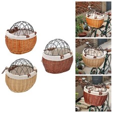 Animaux de compagnie Chat