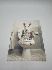 Affiche Chien Bull Terrier WC