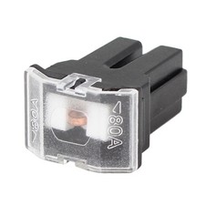 80A Noir femelle Pacifique