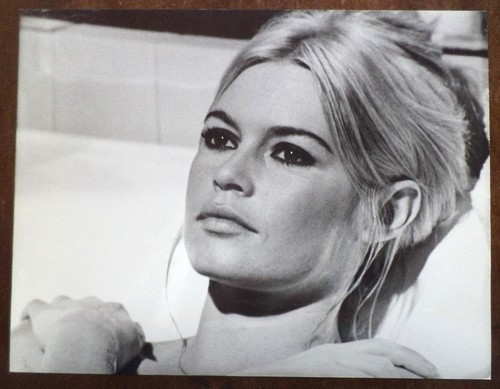 Photo portrait brigitte - portrait,