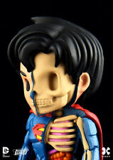 JASON FREENY "superman" XRAY -