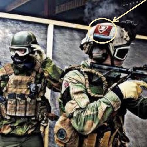 Elite norvégien armée - norvégien,