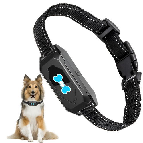 Collier anti aboiement chien - collier,