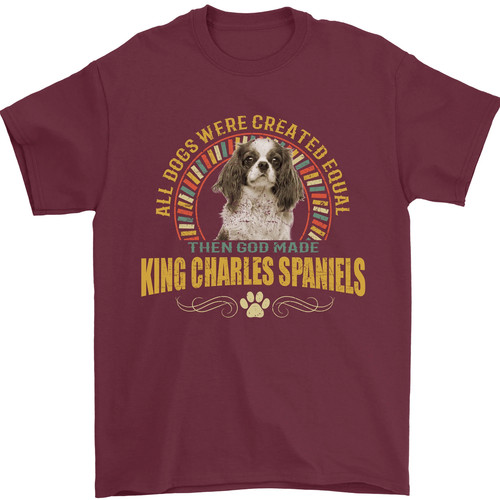 Cavalier king charles - cavalier,