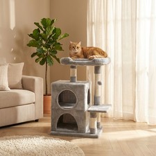 Arbre à chat 80 cm avec 2