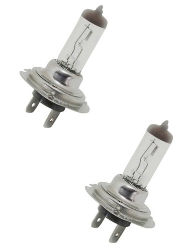 Ampoule 12v 55w px26d - 12v,