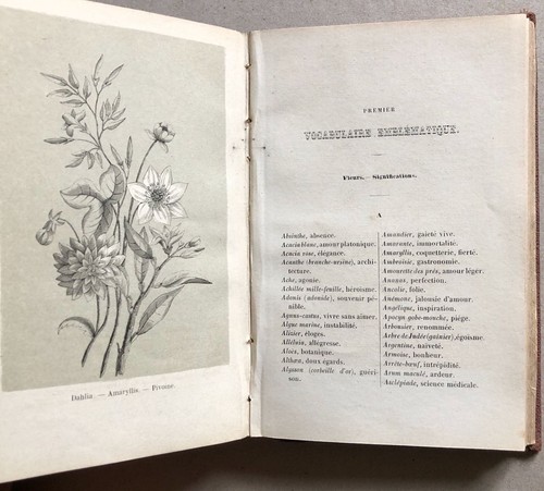 Mme laëre la - de, —