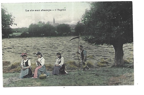 Agriculture vie aux - ,