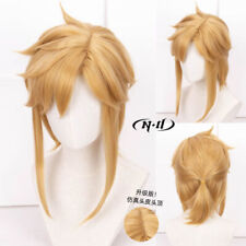 ZELDA LINK Short Synthetic Wigs Cosplay Party Heat Resistant Hair Wig