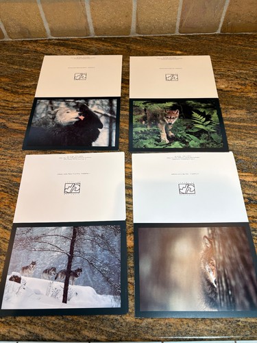 Greeting cards - cards, with