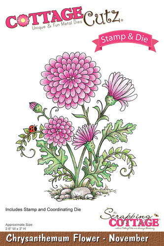 Dies big shot sizzix cottage - dies,