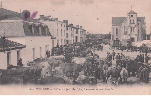Vendee oie jour de - un,