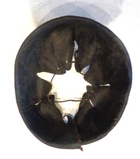 Coiffe pour casque Cuirassier