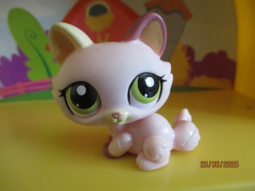 Petshop chat sphynx 1489 - petshop,