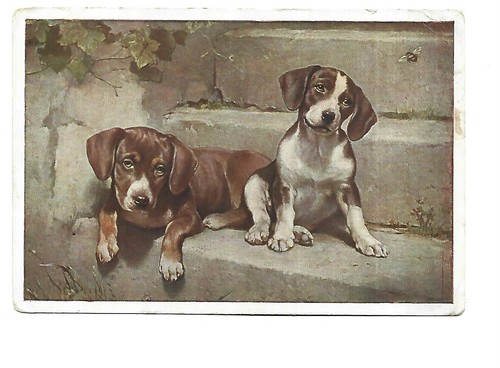 Illustration chiots jouant - illustration,