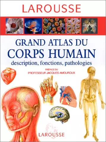 Grand atlas corps - atlas, humain