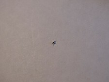 WALTHAM 504 WATCH BALANCE AXLE