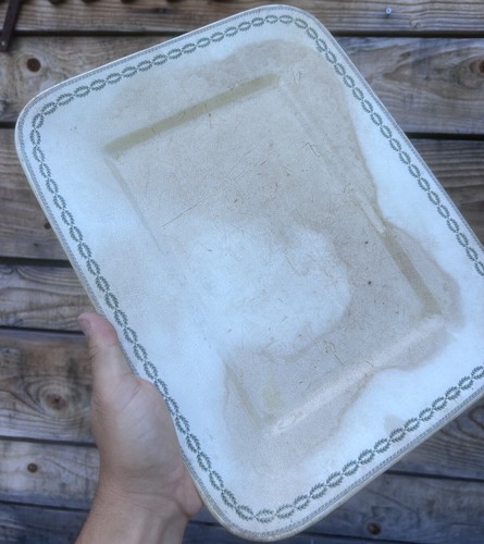 Large dish nobilis - large,