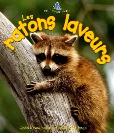 Les ratons laveurs bobbie - laveurs,,