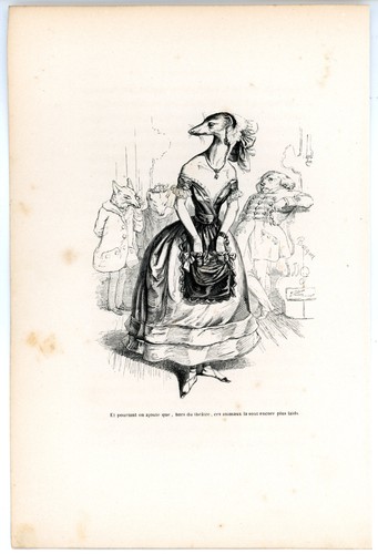 Animaux savants granville 1842 - granville,