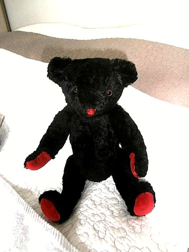 Ours noir 1940 - ours,