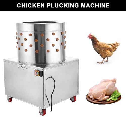 Plumeuse volaille machine - plumeuse,