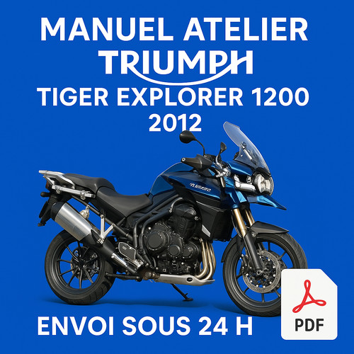Manuel atelier triumph - manuel,