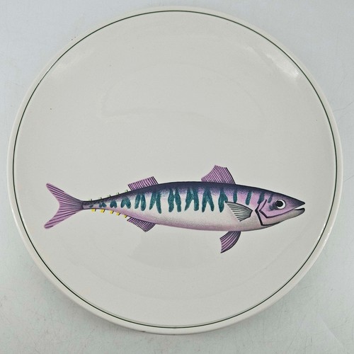 Atlantic fish mackerel - atlantic,