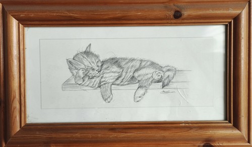 Cadre photo bois chat crayon - cadre,