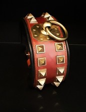 Collier pour chien » UNIQUE