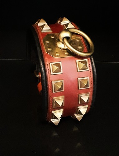 Collier pour chien - », unique