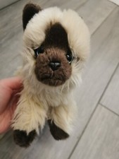 Peluche chat sacré de Birmanie, chat siamois