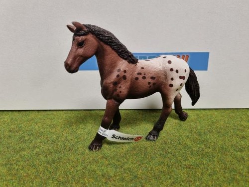 13861 jument appaloosa - -,