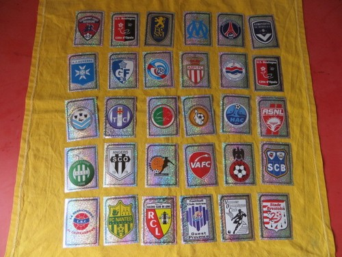 Foot 2010 shiny stickers - foot,