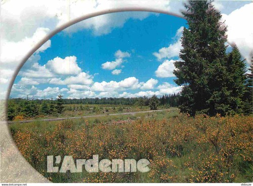Carte postale belgique - carte,