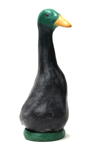Canard coureur indien - indien, terre