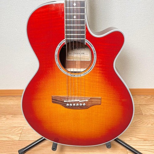 Guitare électrique acoustique