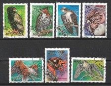 Animaux Oiseaux Rapaces