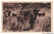 CAR-AFIP14-0786-13 - En