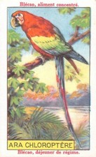 Chromos Blédine Blécao - ARA CHLOROPTERE