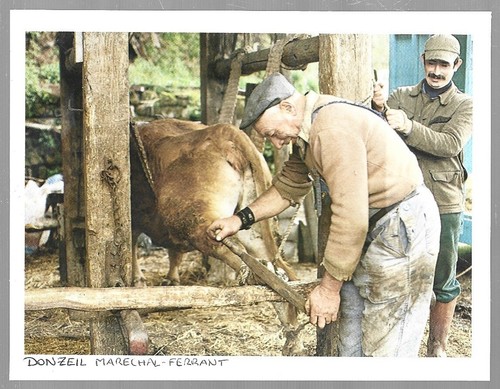 1984 le donzeil - 1984,